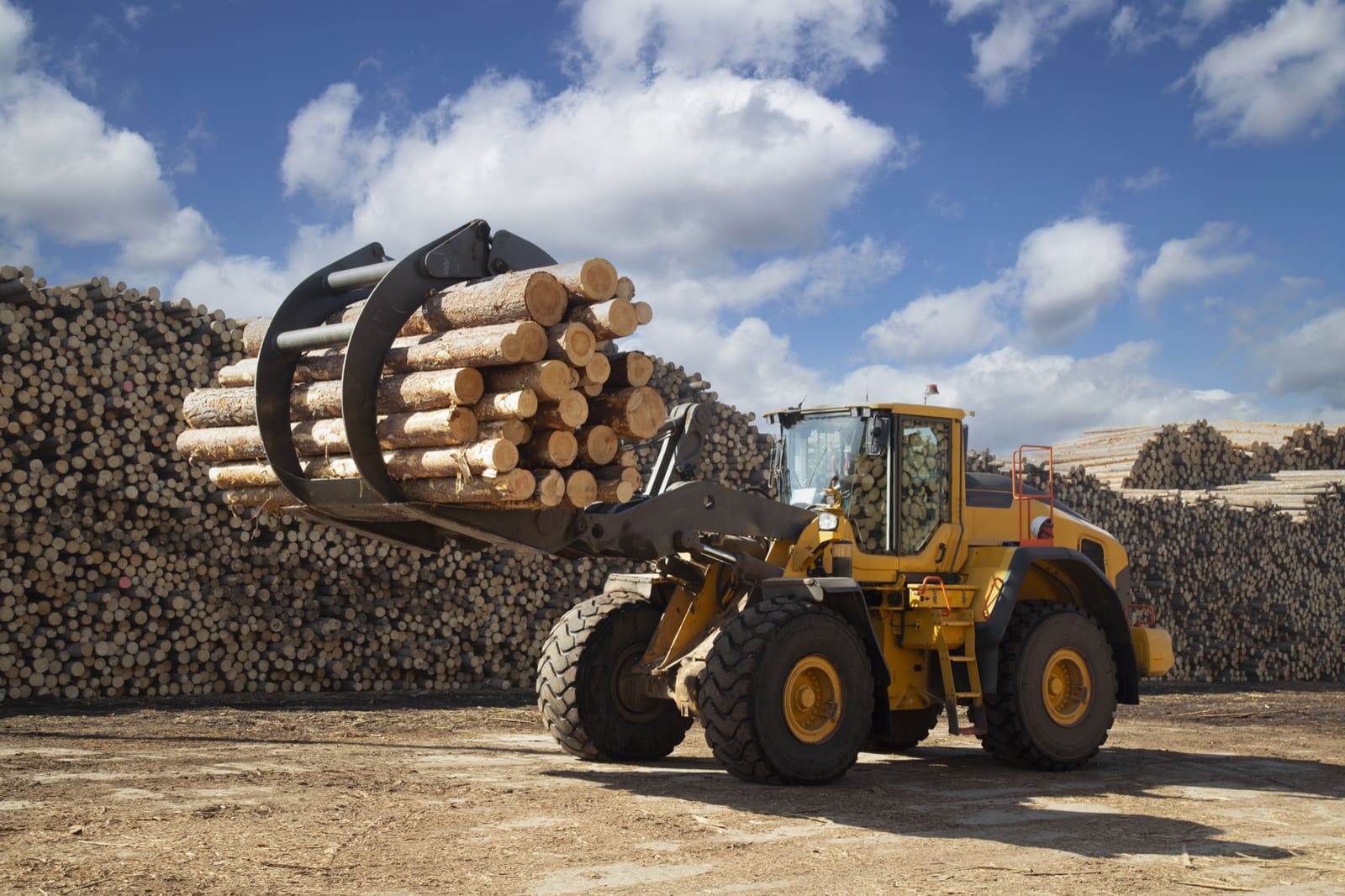 Forstwirtschaft & Holzindustrie