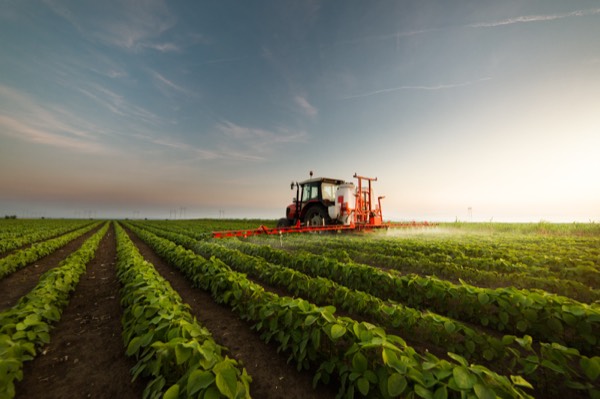 Traktor beim Spritzen eines Sojafeldes